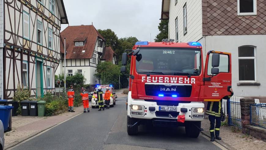 Rauchende Pfannkuchen lösen Heimrauchmelder aus