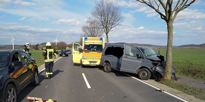 Schwerer Verkehrsunfall: Transporter gegen Baum