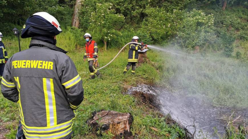 Drohender Waldbrand: Unklare Rauchentwicklung im Homburgwald