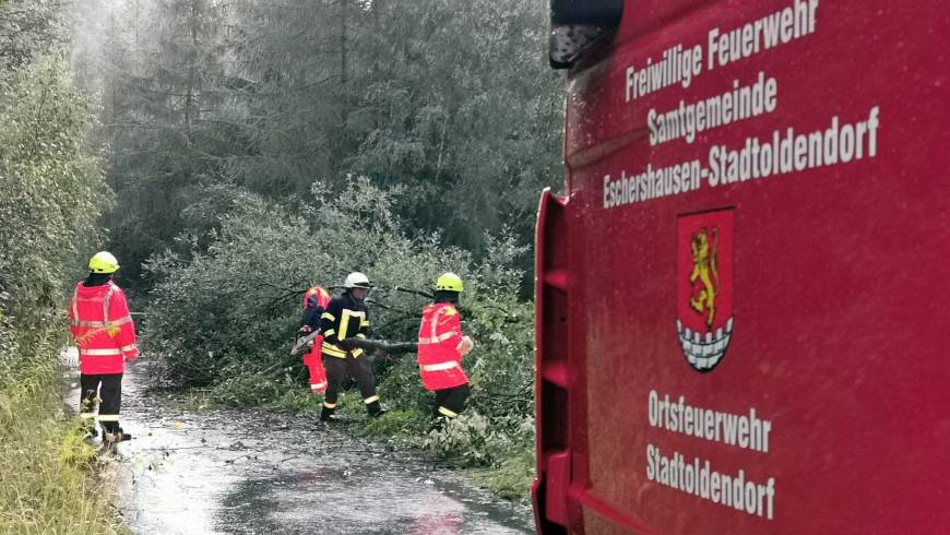 Amtshilfe für die Polizei: Baum auf Straße versperrt Rettungsweg