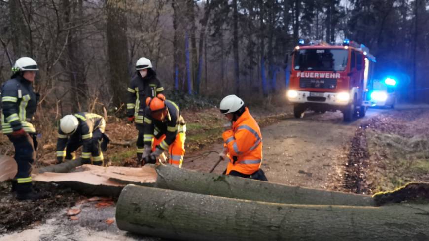 Versperrte Rettungswege zum Waldpädagogikzentrum durch umgestürzte Bäume