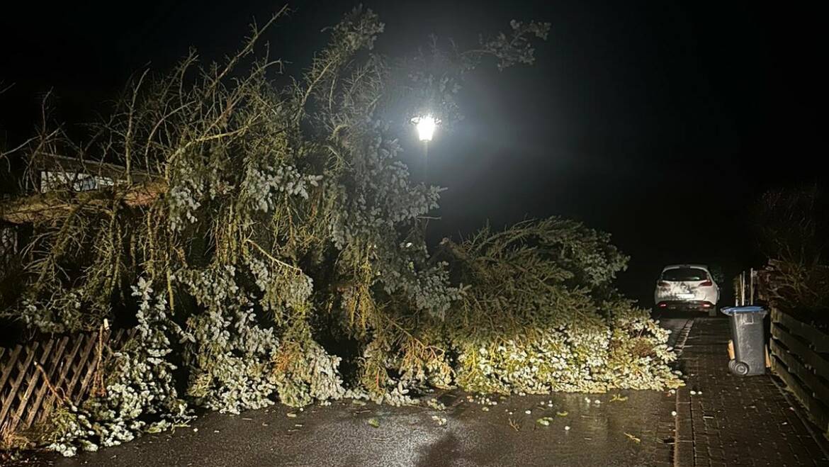 Umgestürzter Baum in Hellental versperrt Straße in Wohngebiet