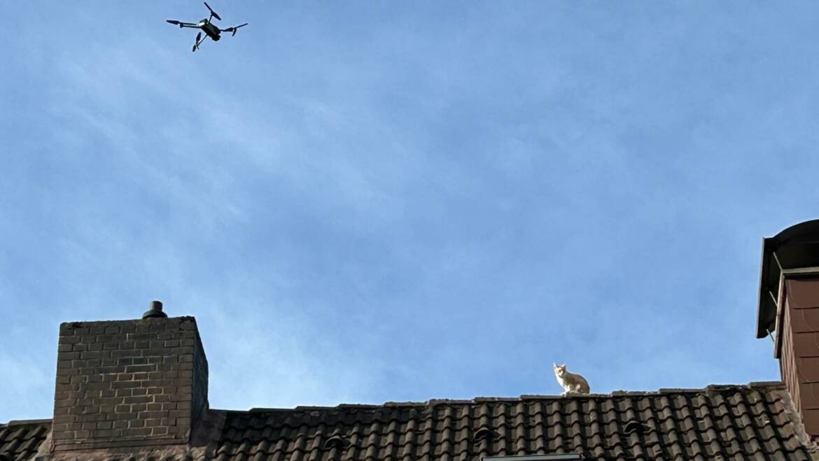 Katze auf Hausdach: Tier wird mit Drohne wieder ins Haus gelockt
