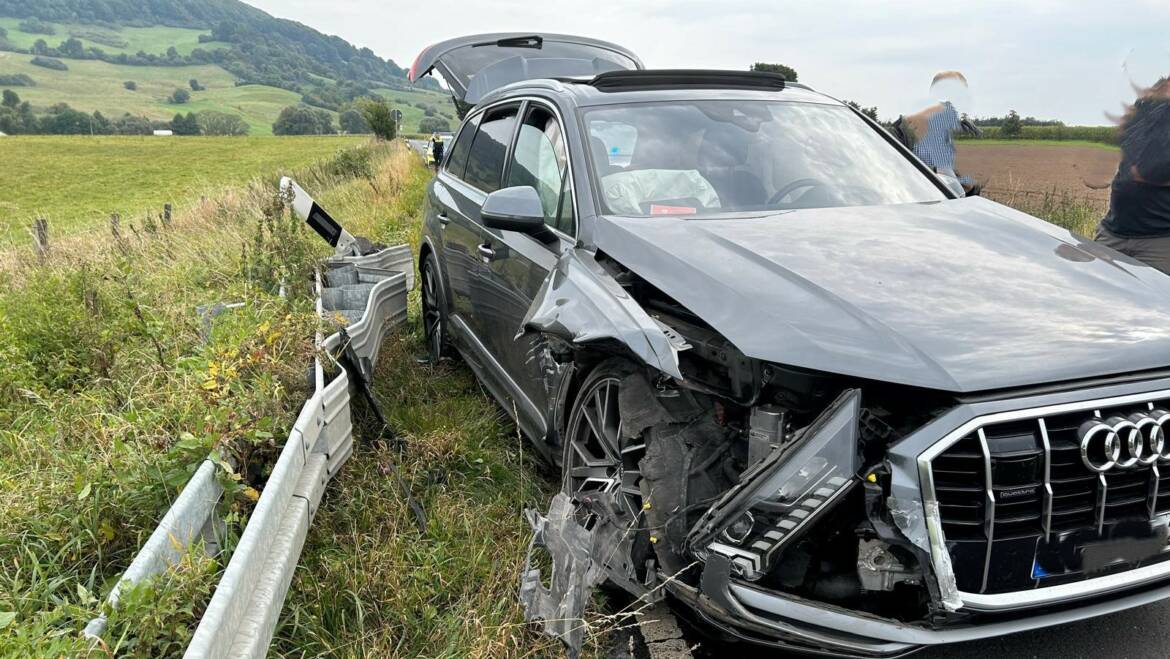 Paralleleinsatz zu einem vermeintlichem Verkehrsunfall mit eingeklemmter Person bei Braak