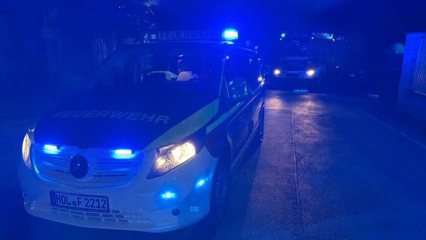 Auslösung Brandmeldeanlage in einem Industriebetrieb
