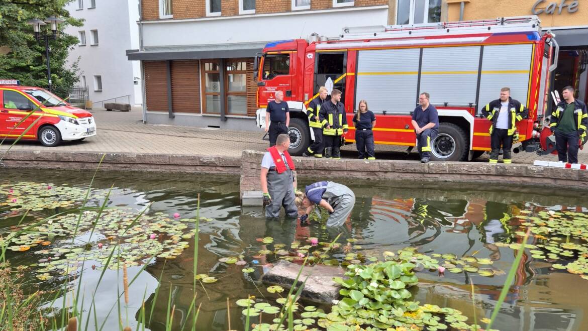 Tierrettung: Zwei Küken in Teich-Überlauf gefallen