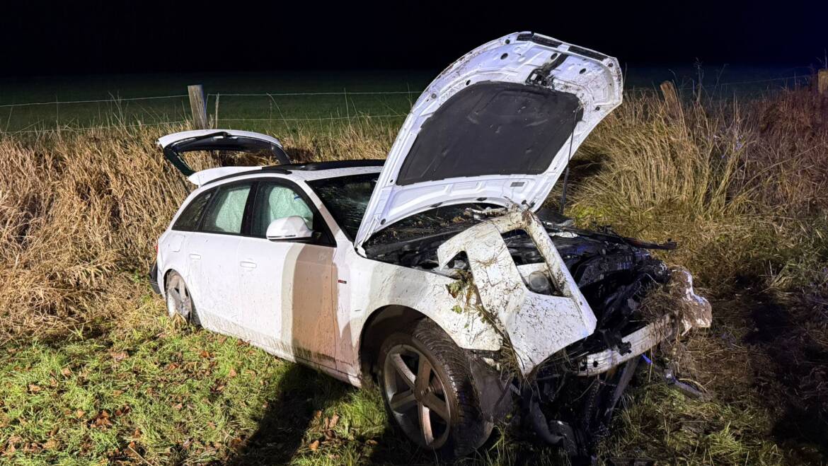 Auslaufende Betriebsstoffe nach Verkehrsunfall mit alleinbeteiligten Fahrzeug bei Wangelnstedt