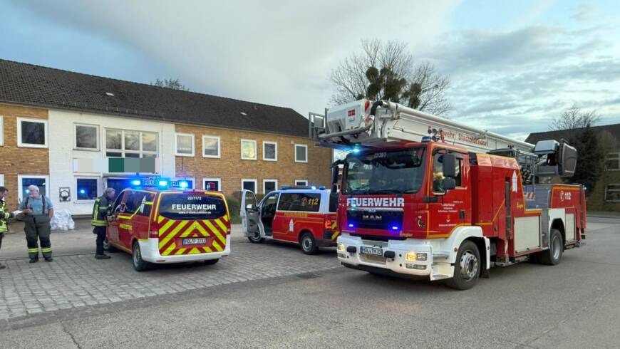Fehlalarm: Heizungsabgase statt Schornsteinbrand