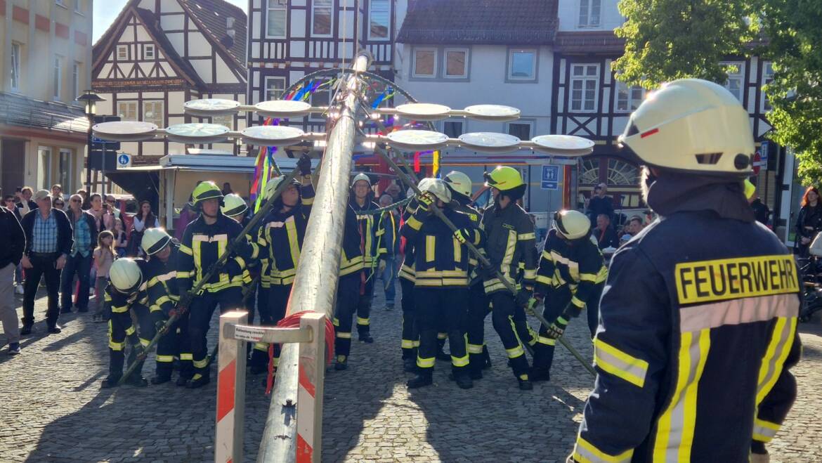 Maibaumaufstellen lockt zahlreiche Besucher nach Stadtoldendorf