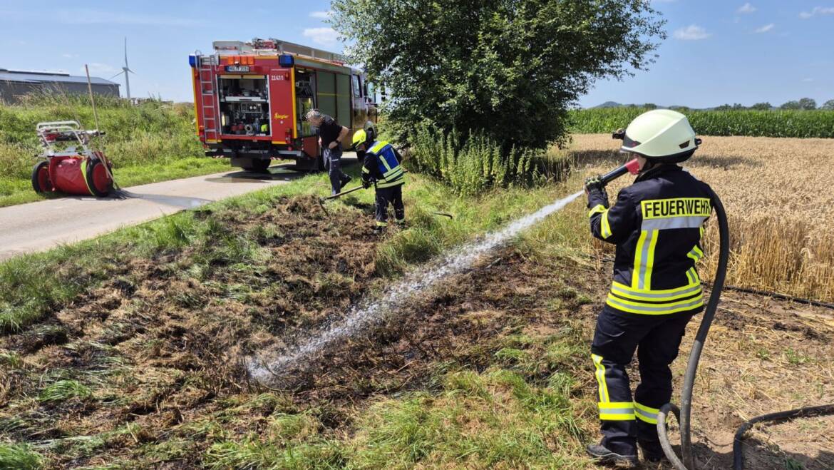 Flächenbrand an Straßenrand und Getreidefeld