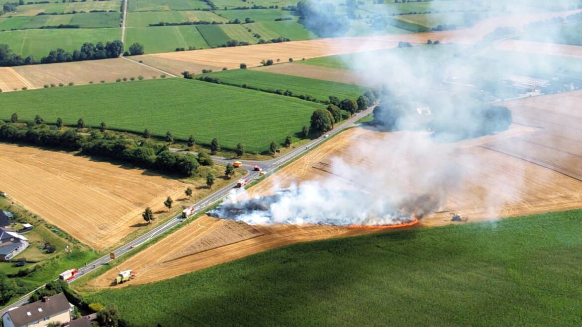 Flächenbrand außerorts: Rund 200 Quadratmeter Weizenfeld in Flammen