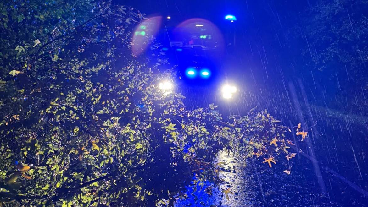 Weiterer nächtlicher Einsatz aufgrund umgestürzten Baum im Bereich Heinade