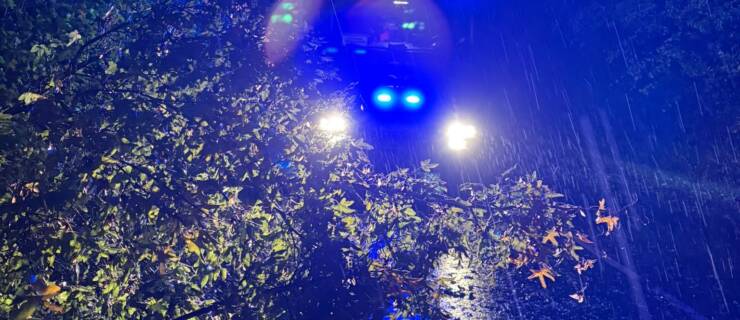Weiterer nächtlicher Einsatz aufgrund umgestürzten Baum im Bereich Heinade