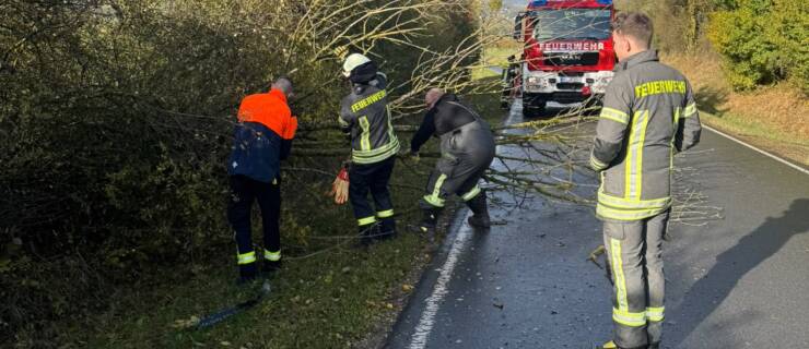 Weiterer Baum auf Straße. Feuerwehr erneut zur Baumbeseitigung im Bereich Linnenkämper Berg im Einsatz
