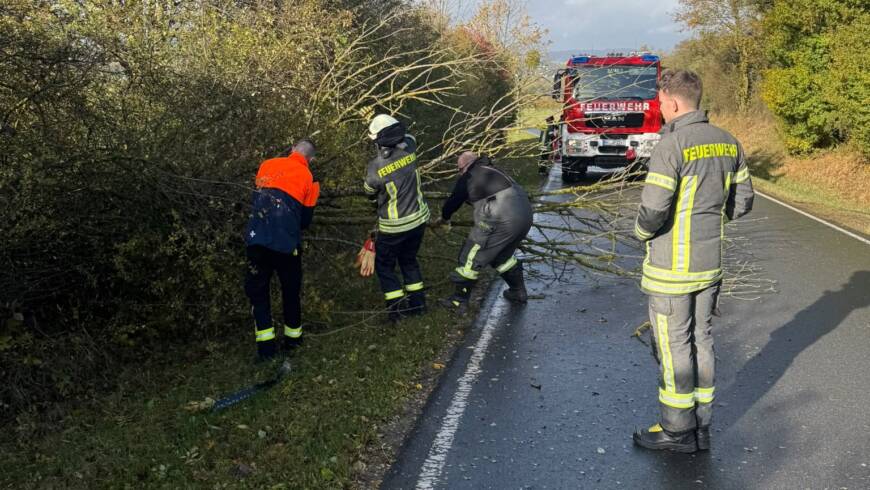 Weiterer Baum auf Straße. Feuerwehr erneut zur Baumbeseitigung im Bereich Linnenkämper Berg im Einsatz